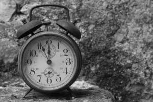 1013020_10151649392919054_706241726_n