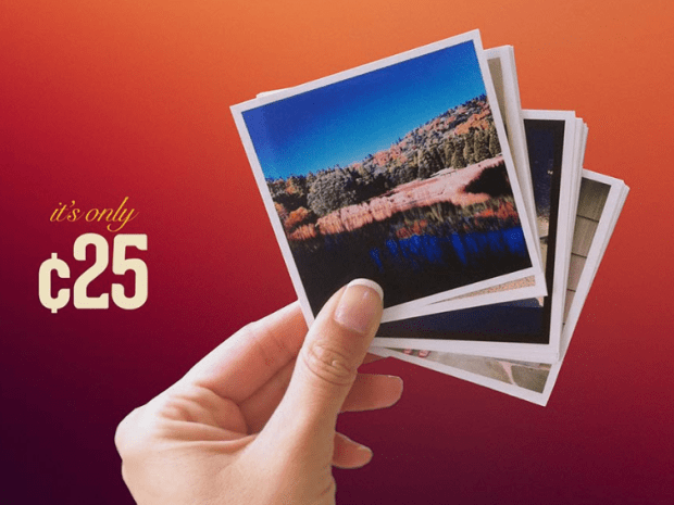 FoxGram pricing example